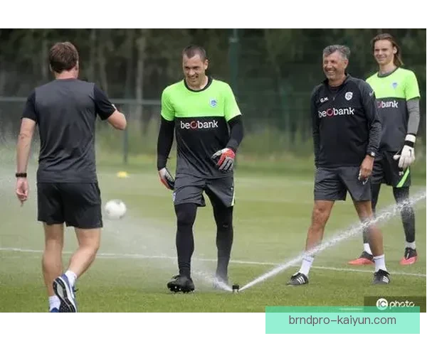 雷吉纳球队结构分析:新的战术体系助力备战本赛季 雷吉纳球队结构分析:新的战术体系助力备战本赛季