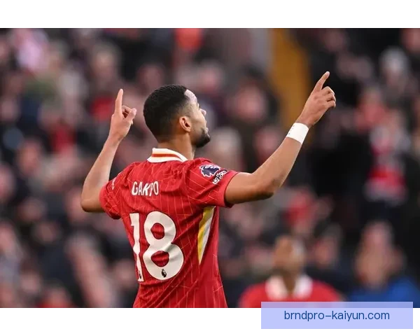 加克波在本赛季中贡献表现突出，发挥稳定备受期待。