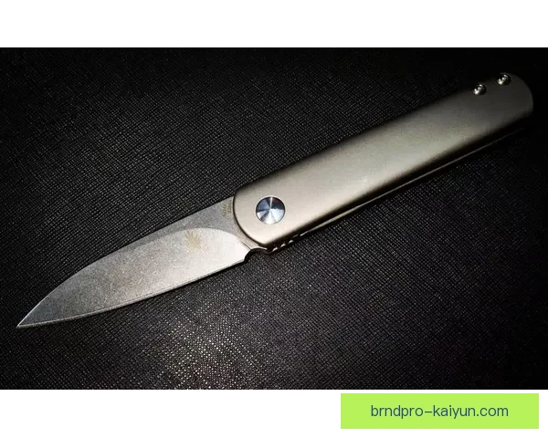 凯泽主帅风格分析:战术灵活性与球队 cohesiveness 形成稳健表现 凯泽主帅风格分析:战术灵活性与球队 cohesiveness 形成稳健表现