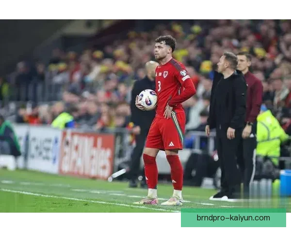 欧洲杯预选赛威尔士表现稳健，竞争力持续提升提升